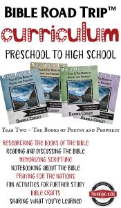 Check out this great Bible curriculum for preschool to high school! Bible Road Trip™ lets me teach the Bible to all my kids at once!