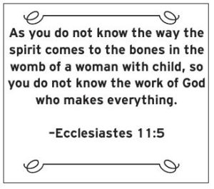 Free Scripture Memory Card Sets ~ ESV & KJV. We're celebrating Wonderfully Made: God's Story of Life from Conception to Birth is a sweet Scripture and science based picture book for ages 5-11.