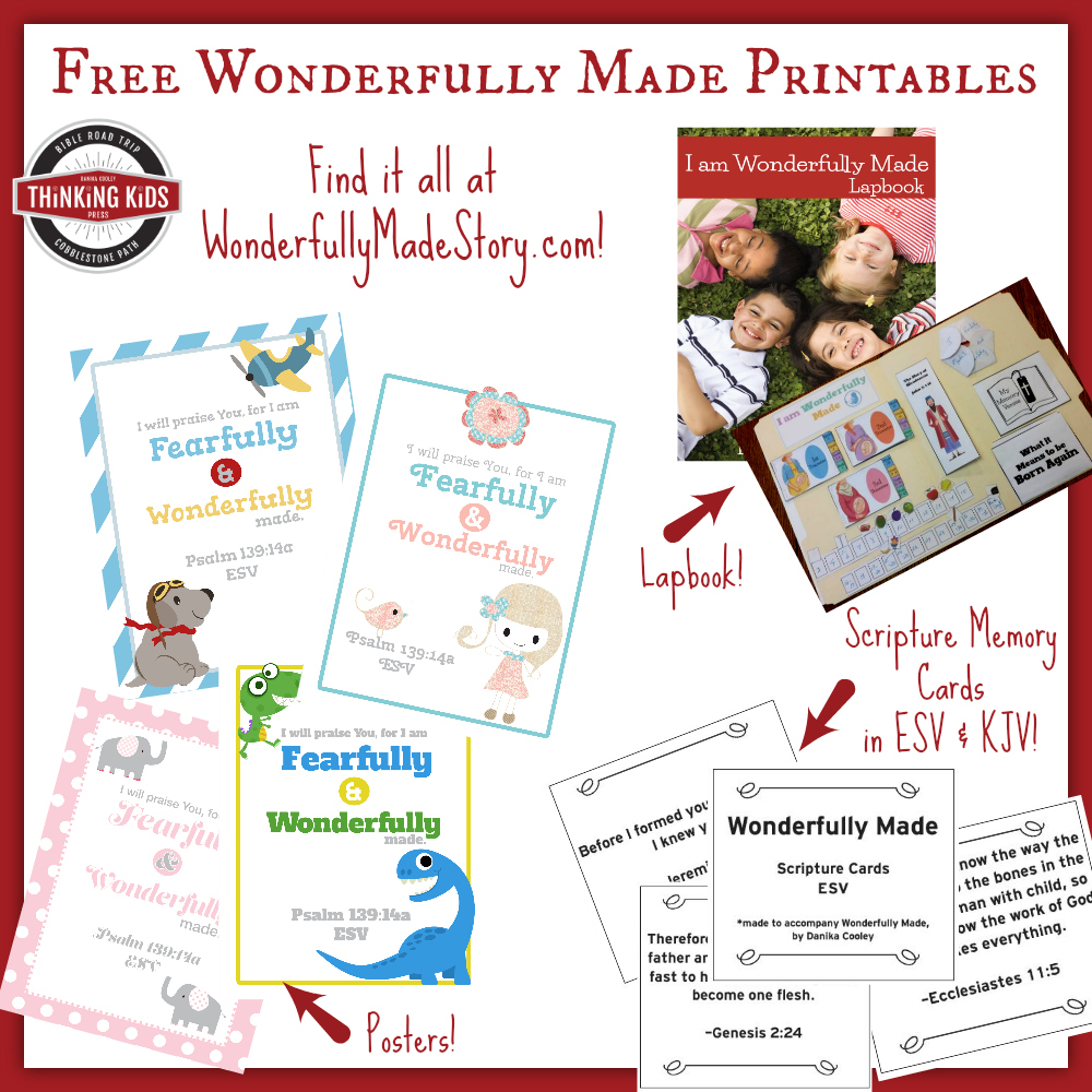Check out the free Wonderfully Made printables available at Thinking Kids! Posters, Scripture memory cards, and a lapbook! Teach your kids what the Bible AND science say about life in the womb!