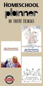 Homeschool Curriculum Planner [In Three Designs]
