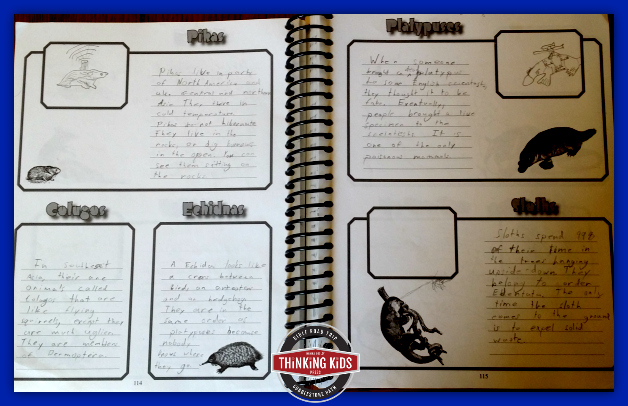 Ode to Notebooking ~ A Homeschool Method We Use and Love