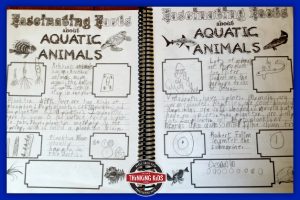 Ode to Notebooking ~ A Homeschool Method We Use and Love