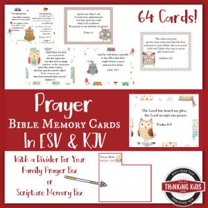 Prayer Bible Memory Verse Cards
