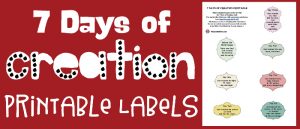 7 Days of Creation Printable and Craft