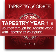 Tapestry of Grace Year One