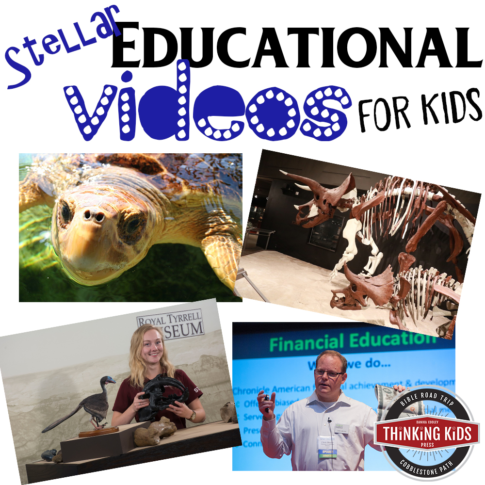 Stellar Educational Videos for Kids: A supplemental online homeschooling resource