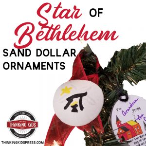 Christmas Star of Bethlehem Sand Dollar Ornaments