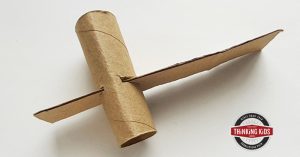 Johann Gutenberg Printing Press | Toilet Paper Rolls Craft