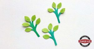 The Parable of the Sower Craft