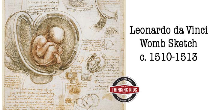 Leonardo da Vinci Womb Sketch