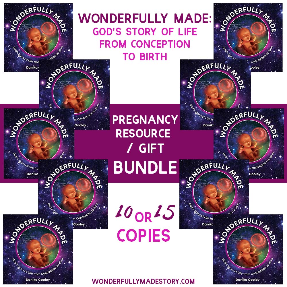 Wonderfully Made Pregnancy Resource Bundle