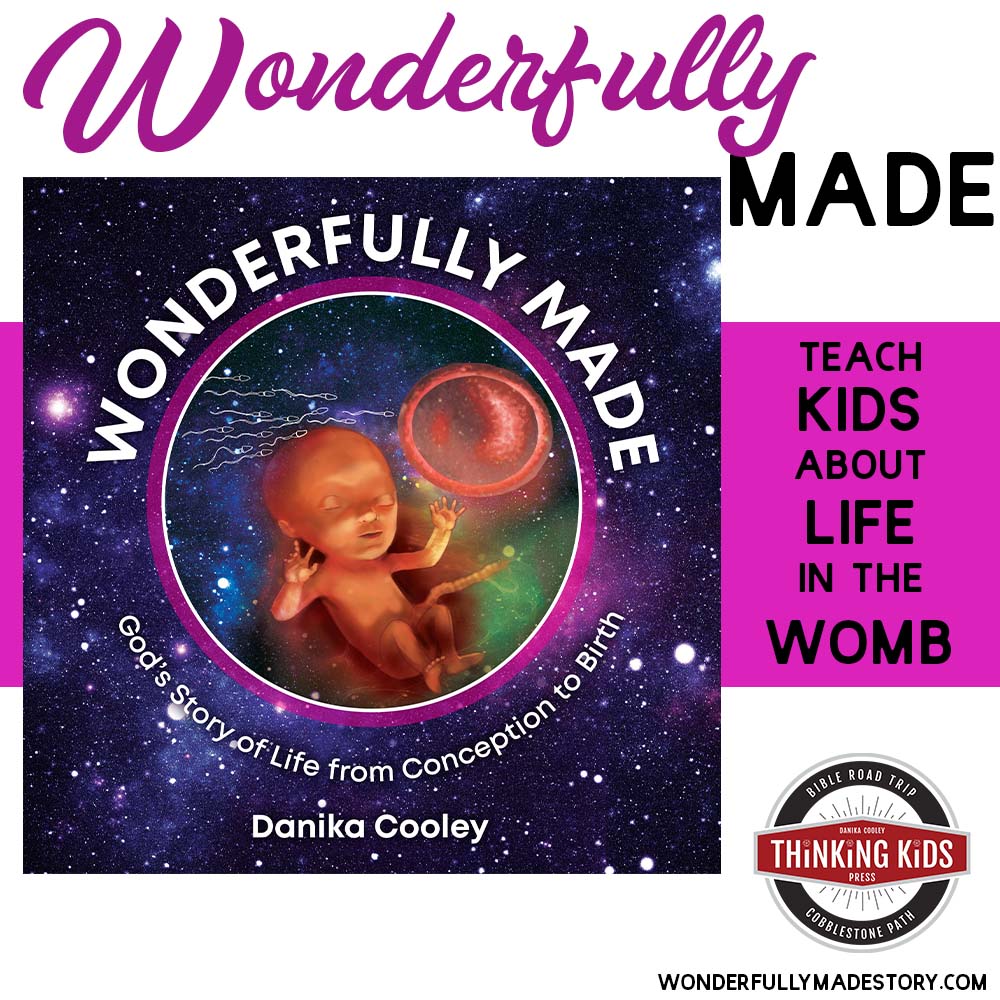 Wonderfully Made: God's Story of Life from Conception to Birth