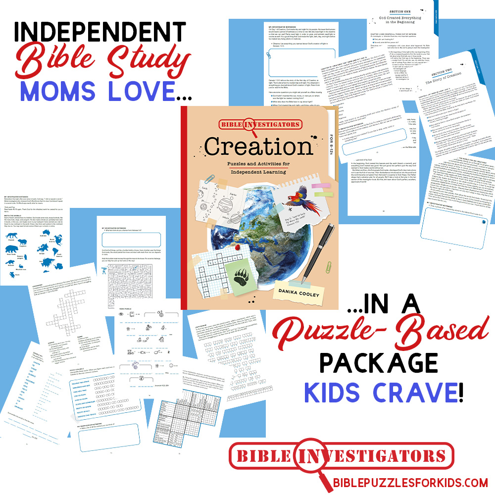 Bible Investigators: Creation | Puzzle-Based Bible Study for Kids
