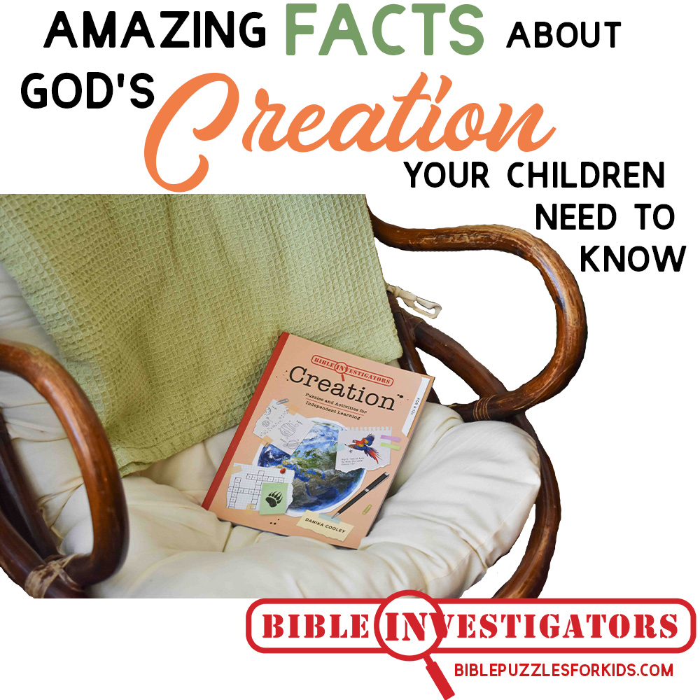Amazing Facts about God's Creation Your Children Need to Know