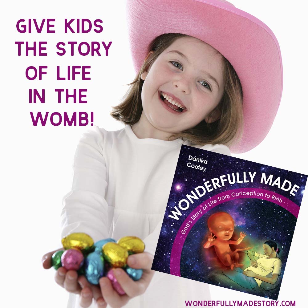 Wonderfully Made: God's Story of Life from Conception to Birth