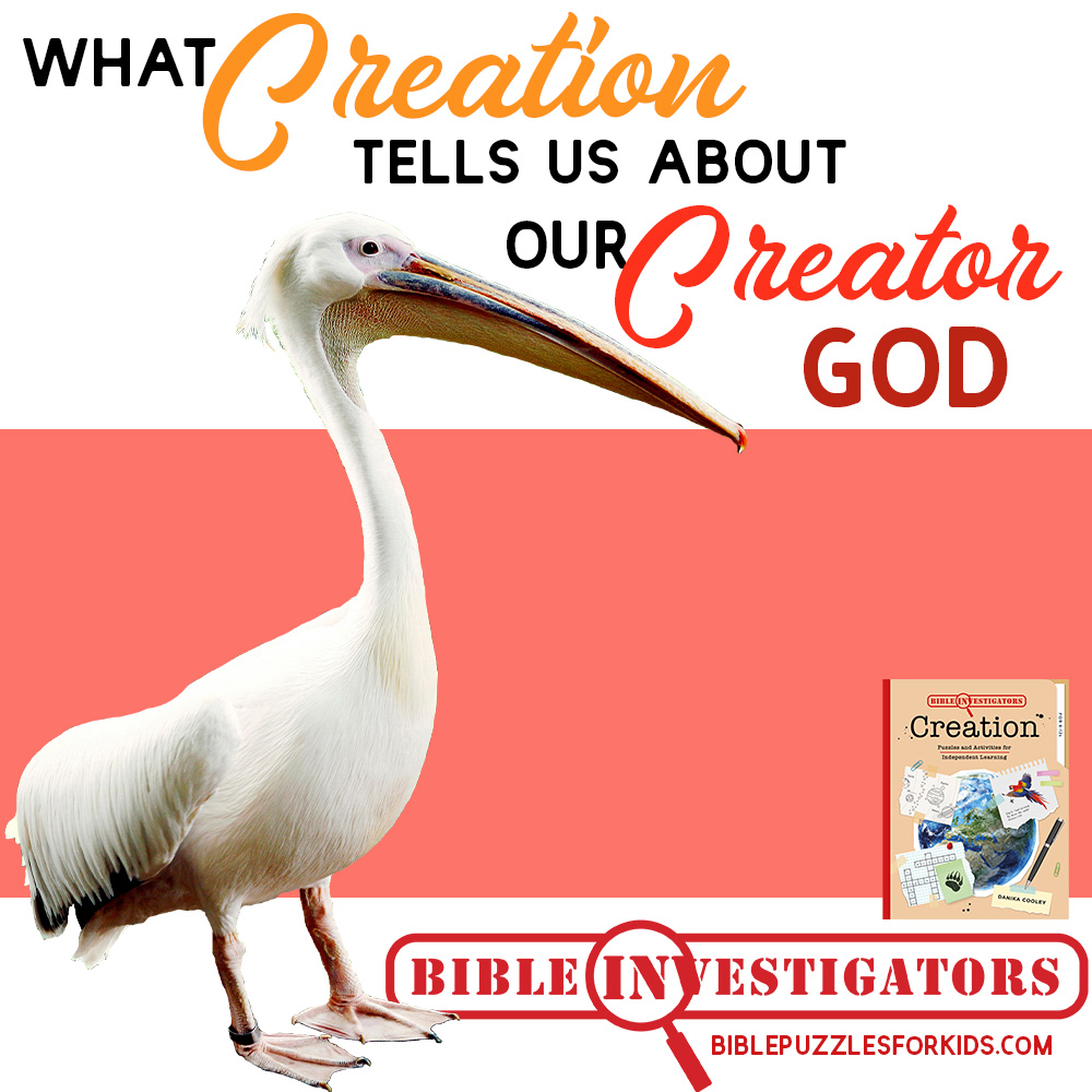 What Creation Tells Us About God Our Creator