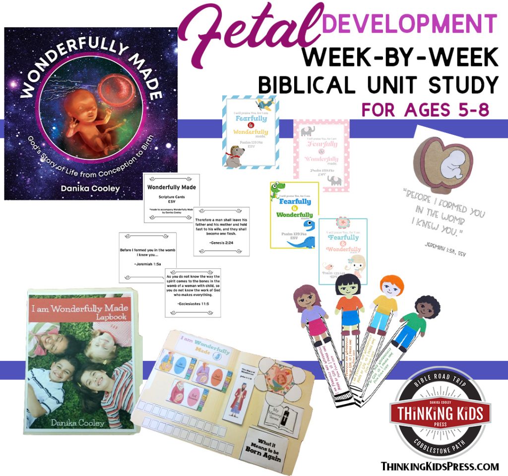Fetal Development Week by Week | Biblical Unit Study