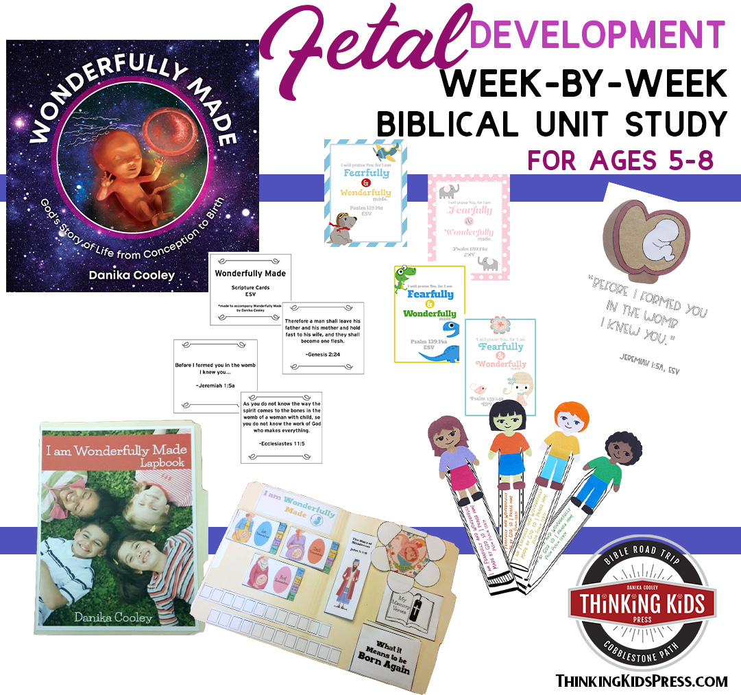 fetal development us