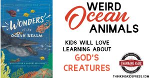 Weird Ocean Creatures | Kids Will Love Learning about God's Creatures