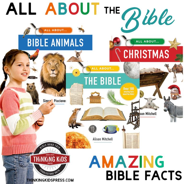 All About the Bible Books | Amazing Facts About the Bible