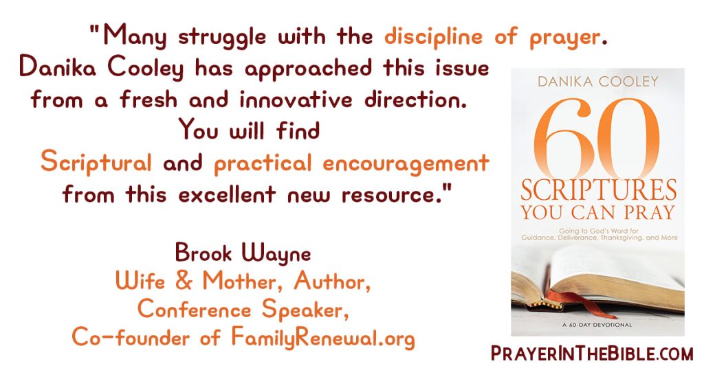 60 Scriptures You Can Pray | Endorsement | Brook Wayne