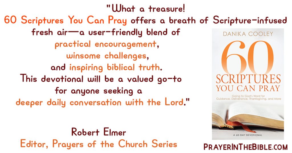 60 Scriptures You Can Pray | Endorsement | Robert Elmer