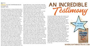 When Lightning Struck!: The Story of Martin Luther Review