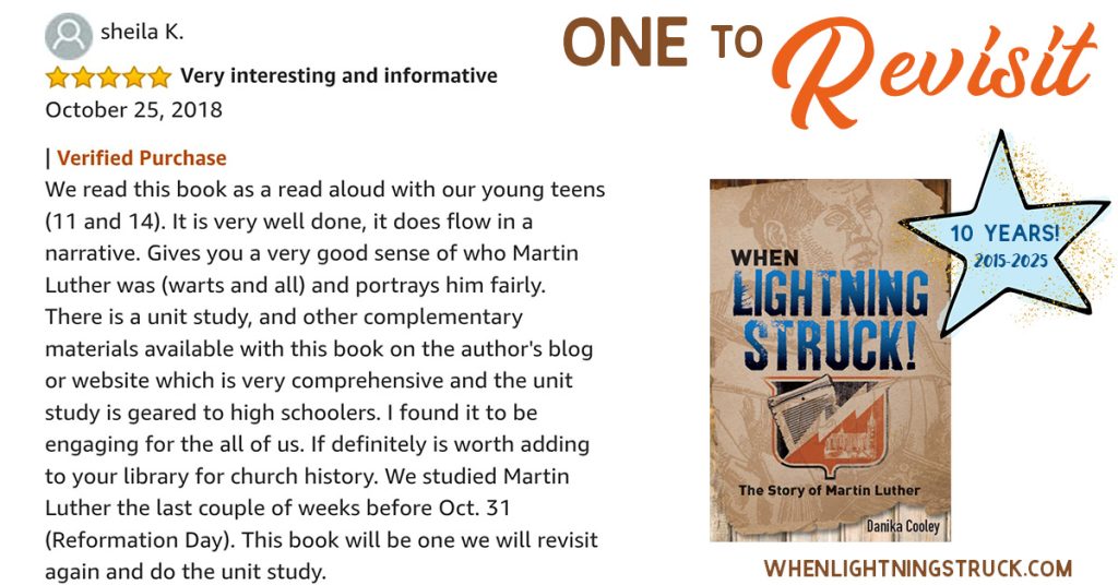 When Lightning Struck!: The Story of Martin Luther Review