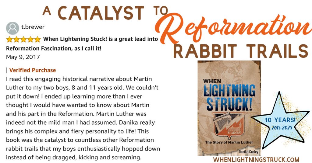 When Lightning Struck!: The Story of Martin Luther Review