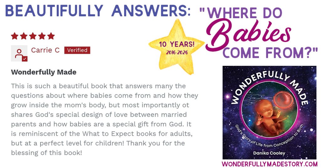 Wonderfully Made | God's Story of Life from Conception to Birth | by Danika Cooley