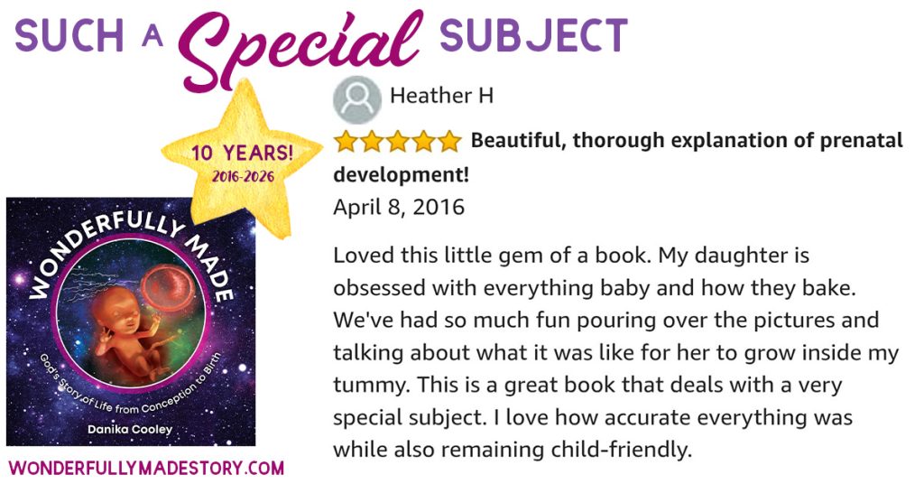 Wonderfully Made | God's Story of Life from Conception to Birth | by Danika Cooley