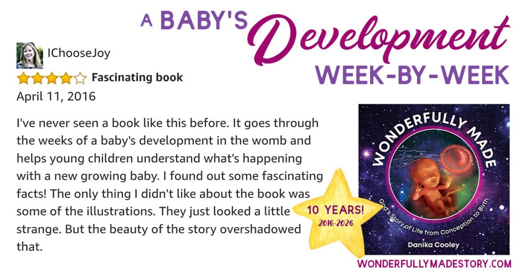Wonderfully Made | God's Story of Life from Conception to Birth | by Danika Cooley