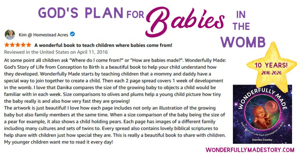 Wonderfully Made | God's Story of Life from Conception to Birth | by Danika Cooley