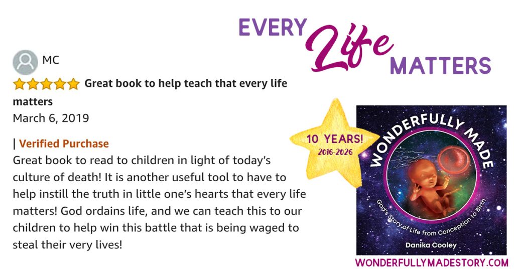 Wonderfully Made | God's Story of Life from Conception to Birth | by Danika Cooley