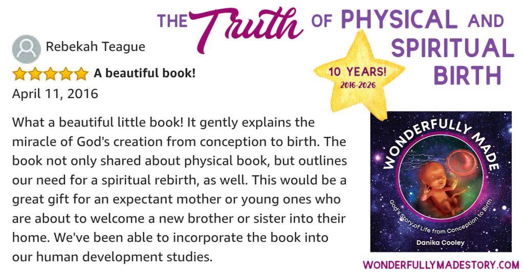 Wonderfully Made | God's Story of Life from Conception to Birth | by Danika Cooley