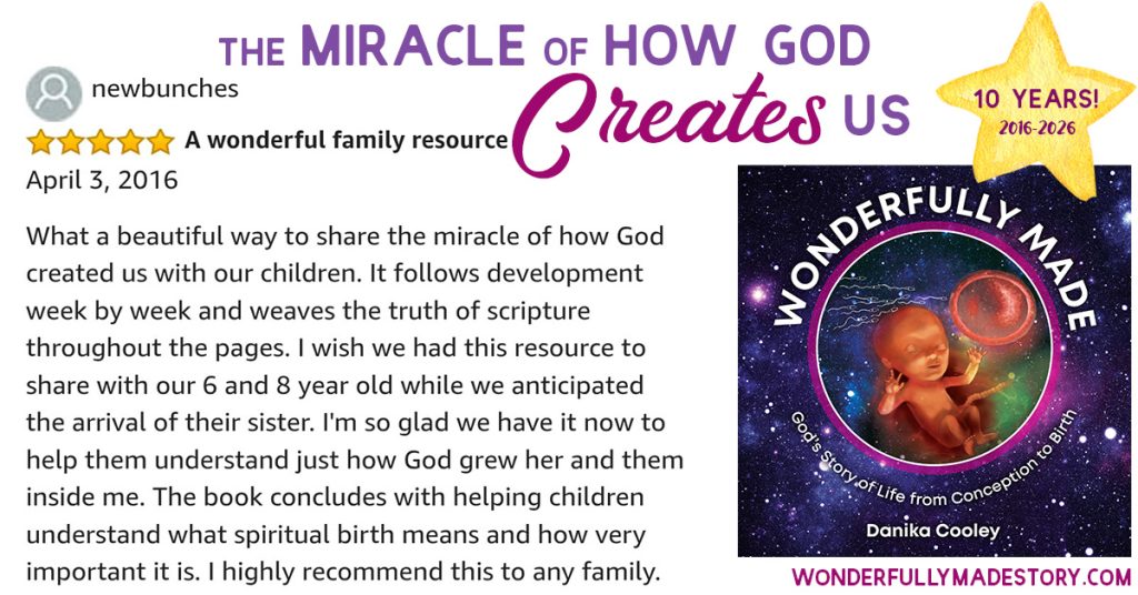 Wonderfully Made | God's Story of Life from Conception to Birth | by Danika Cooley