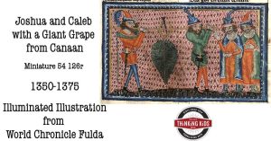 Numbers 13 | 12 Spies Sent into Canaan