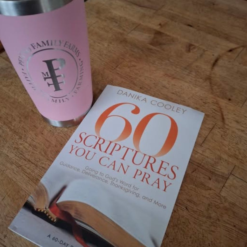 60 Scriptures You Can Pray | Dawn Peluso